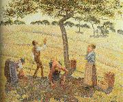Camille Pissarro, Pick  Apples